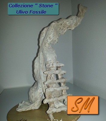 Pittoscultura ulivo fossile